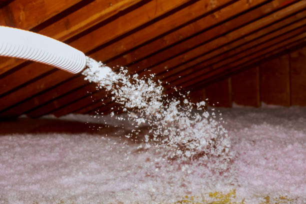 Best Insulation Maintenance and Repair in Pacheco, CA
