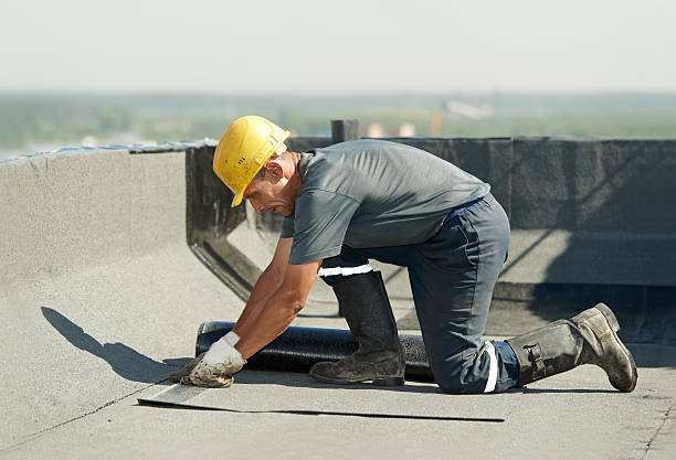 Best Specialty Insulation in Pacheco, CA
